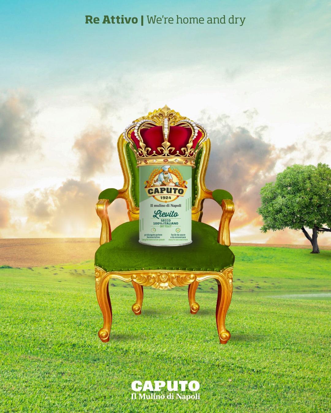 Caputo Yeast: How, When, Where, and Why – Caputo Flour