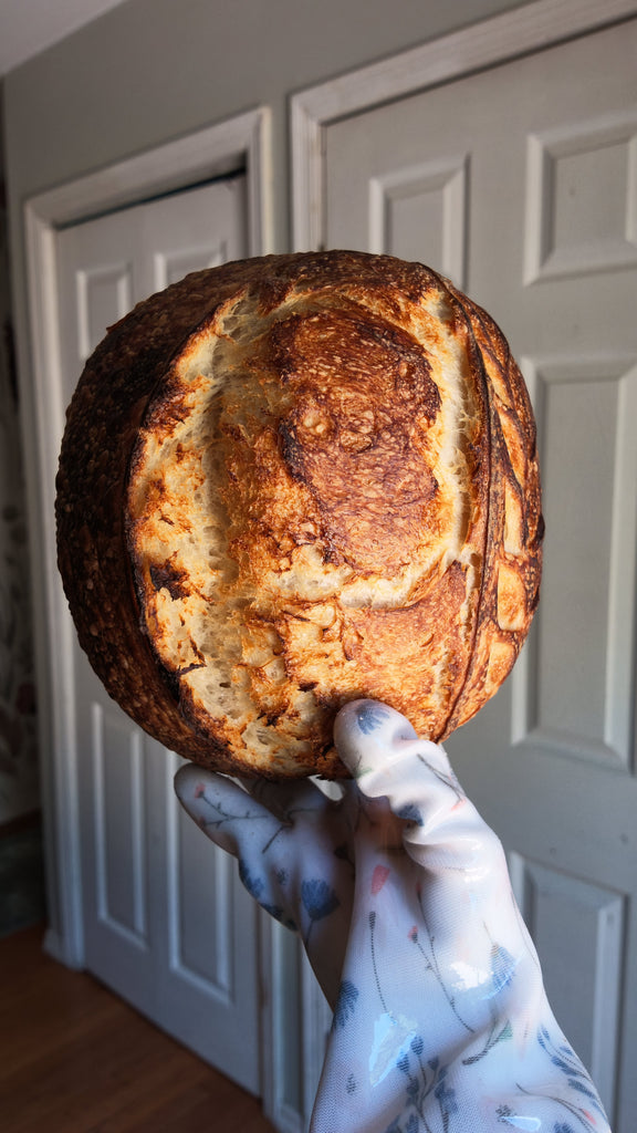 Caputo Artisan Sourdough