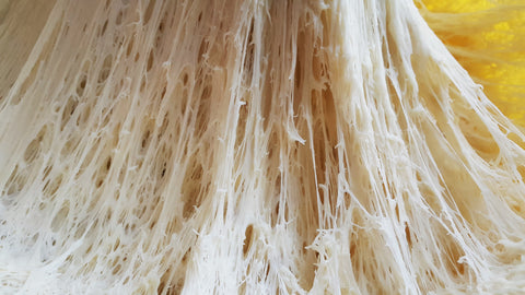 Is Caputo Flour Bromated? Why It Performs Naturally