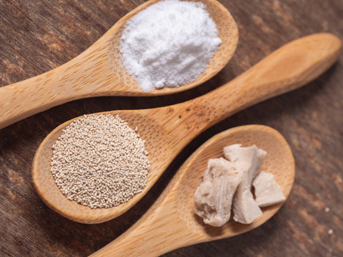 A close up of three wooden spoons; one holding instant yeast, one holding active dry yeast, and one holding fresh yeast