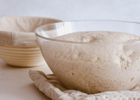 Unlocking the Alchemy: A Guide to Understanding Fermentation
