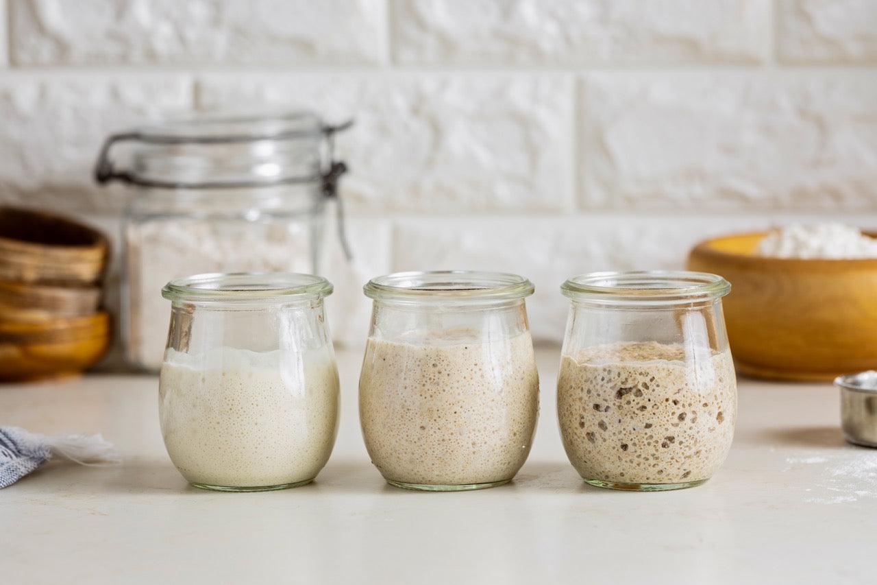 Starters Material Types of Starters in Baking-Caputo Flour